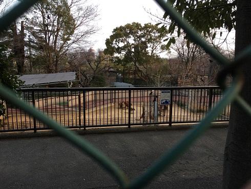 2018-03-11 17.38.22up.jpg