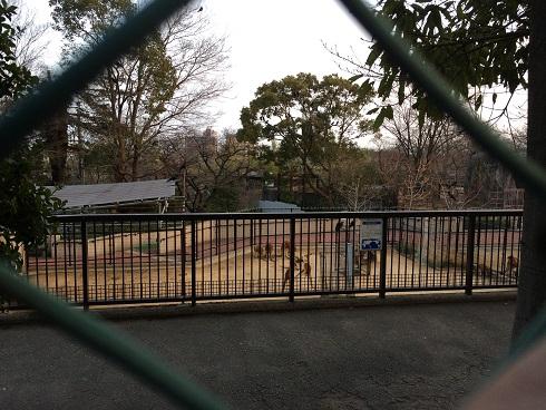 2018-03-11 17.38.38up.jpg