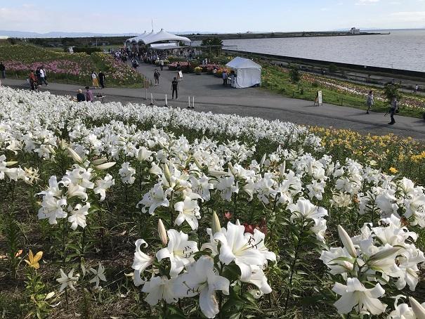 2018-06-13 16.01.51.jpg