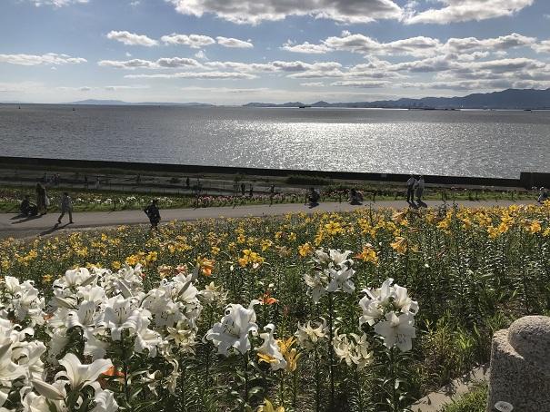 2018-06-13 16.01.56.jpg