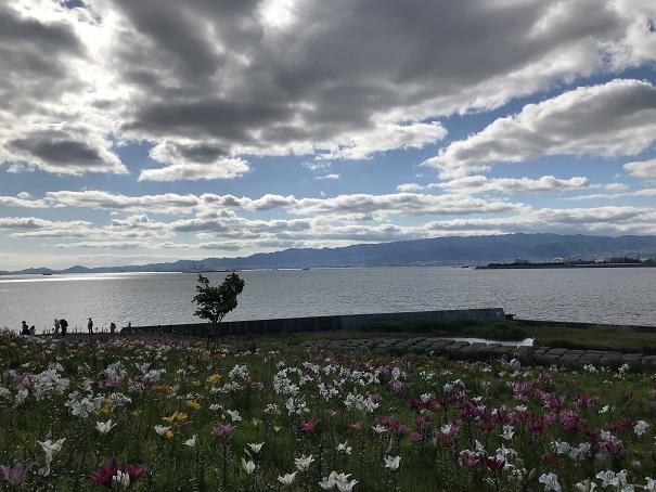 2018-06-13 16.03.28.jpg