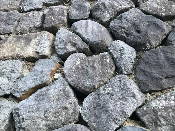 2018-08-12 19.03.41.jpg