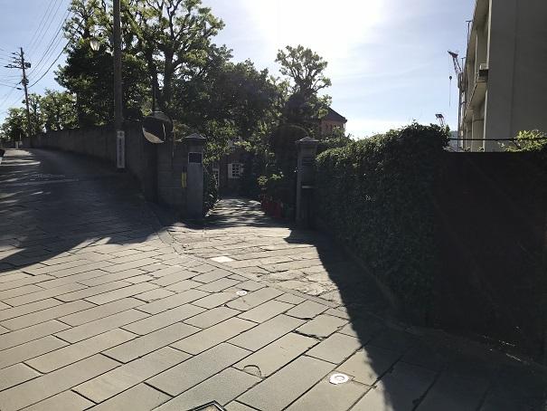 2018-08-13 17.08.01up.jpg