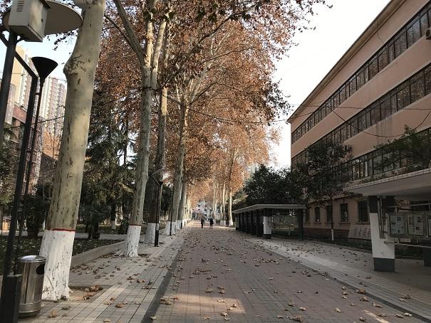 2019-01-07 13.37.02up.jpg