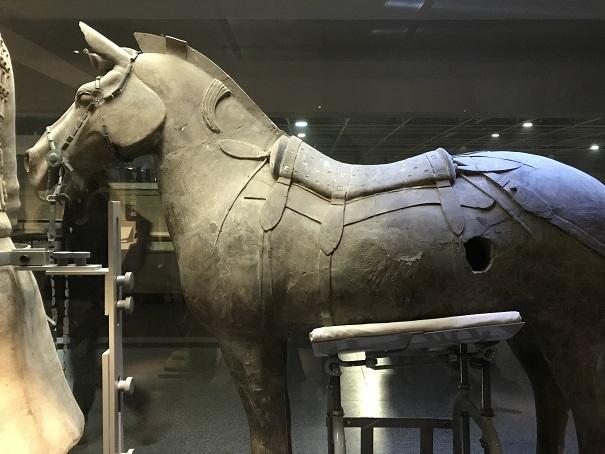 2019-01-09 15.36.08up.jpg