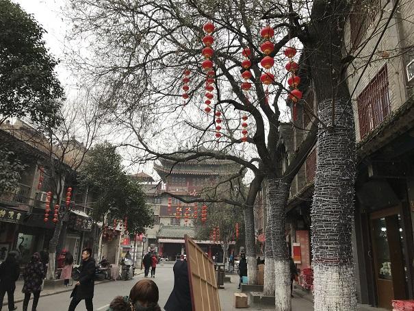 2019-01-10 14.03.29up.jpg