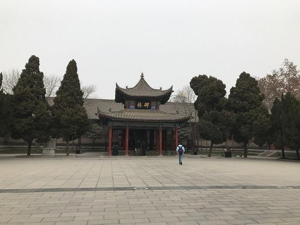 2019-01-10 14.18.10up.jpg