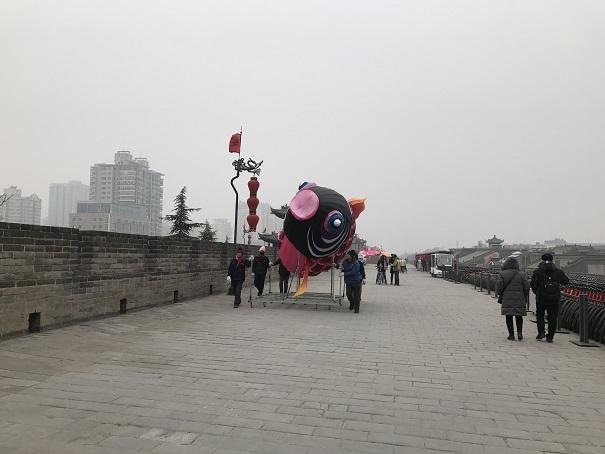 2019-01-10 15.34.06up.jpg