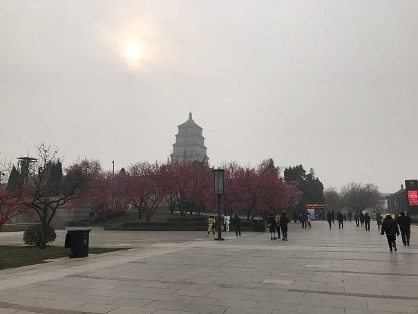 2019-01-12 10.42.47up.jpg