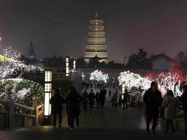 2019-01-12 19.16.30up.jpg