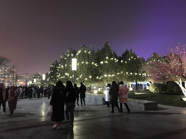 2019-01-12 19.34.59up.jpg